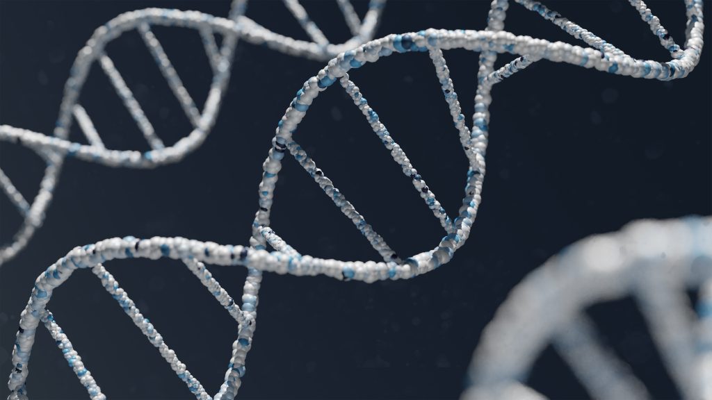 DNA the levels of biological organization