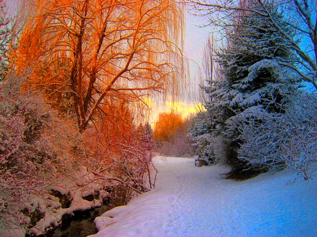 Seasons