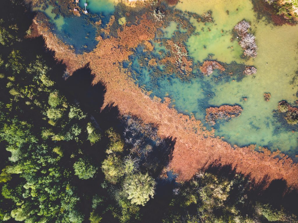 Ecosystem preservation